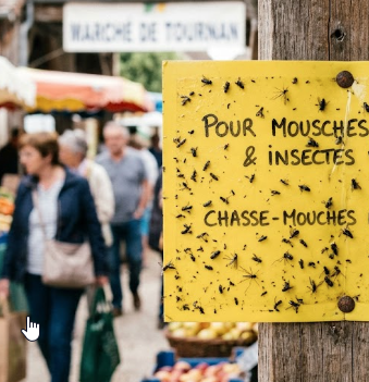 Traitement des araignées